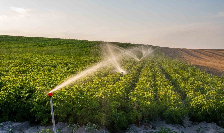 Castilla y León contará con un nuevo plan de eficiencia energética para regadíos