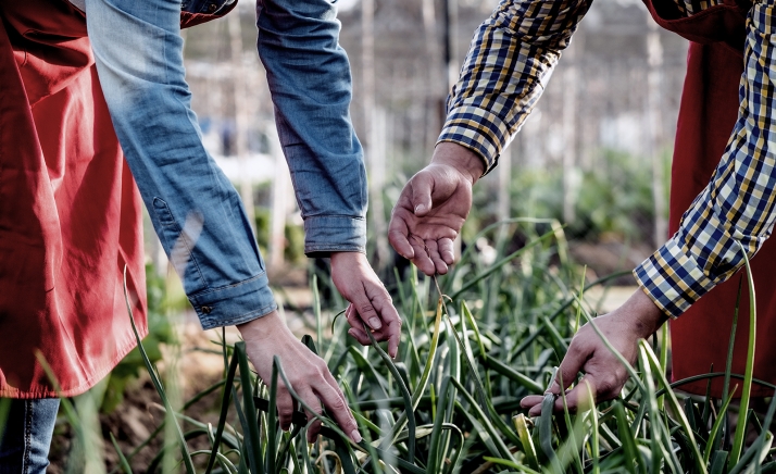 Castilla y León apuesta por un sector cooperativo donde los productores participen en la transformación y comercialización