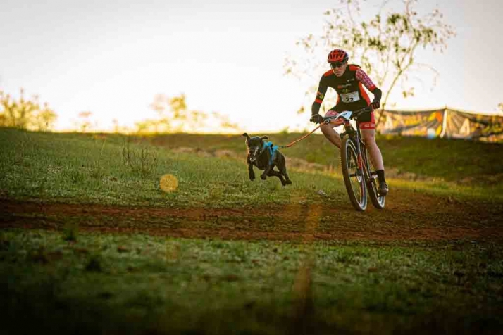 Tres sorianos, al Europeo de mushing sobre tierra 