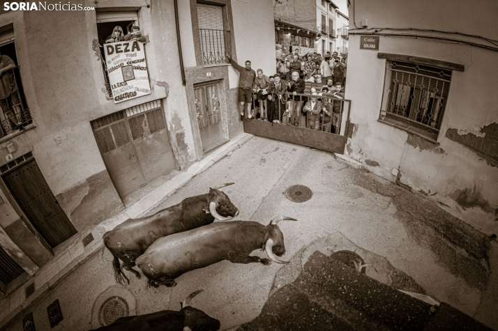 Corneado un joven en el encierro de Deza