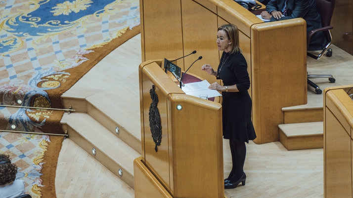 VOX apuesta por ayudas progresivas en función del número de hijos