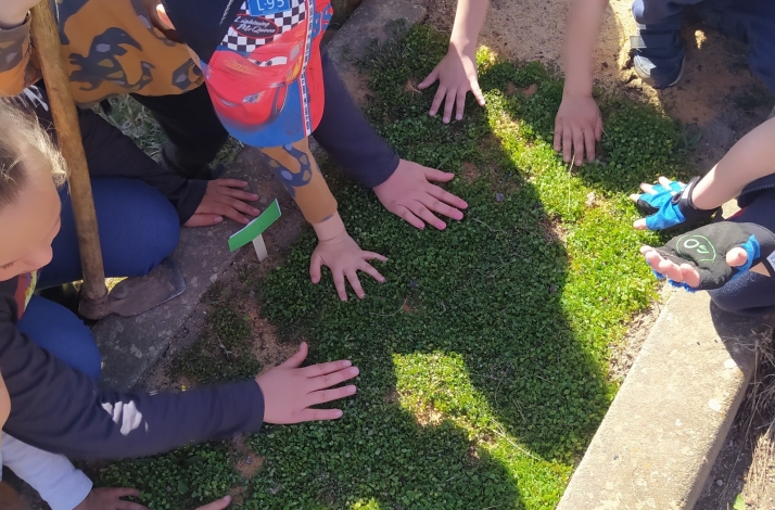 Los montes de Tardelcuende protagonizarán la Ruta del Reciclaje