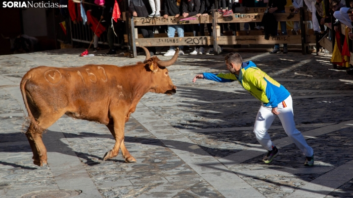 Fotos: el encierro protagoniza el arranque del penúltimo día de fiestas en Ágreda
