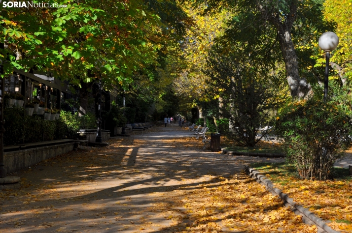 Una mañana de otoño en la dehesa en imágenes
