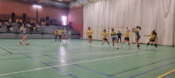 Las senior femeninas del Balonmano Soria caen en el campo del Zamora (33-19)