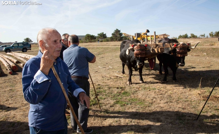 El volumen maderable de Castilla y León se triplica en medio siglo