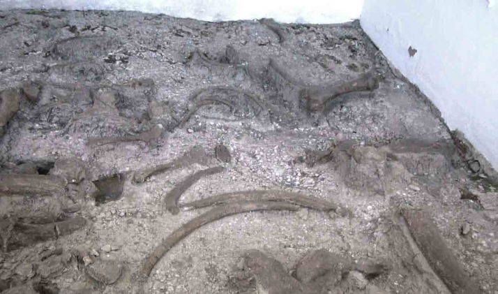 Dos de los yacimientos más importantes de Europa podrían dinamizarse en Soria 