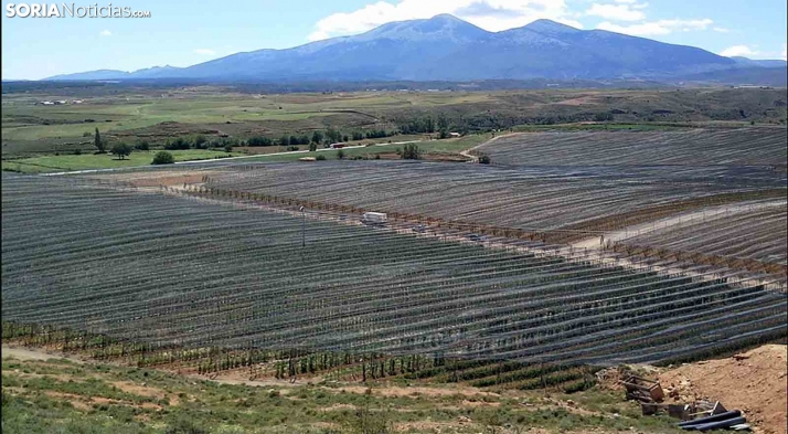 Propuesto el proyecto de modificación del decreto sobre entidades asociativas agroalimentarias prioritarias y sus socios