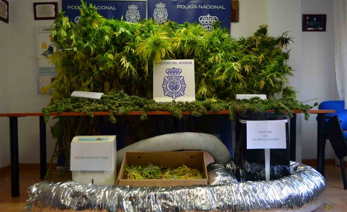 Desmantelado un secadero de marihuana en un ático de Soria