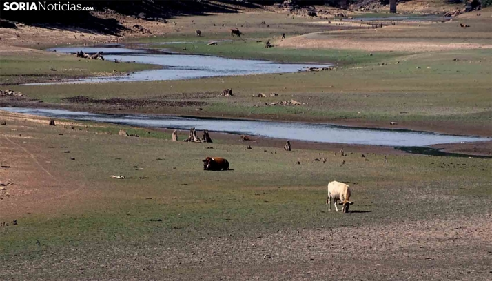 El pantano pierde casi 0,8 hectómetros en la última semana
