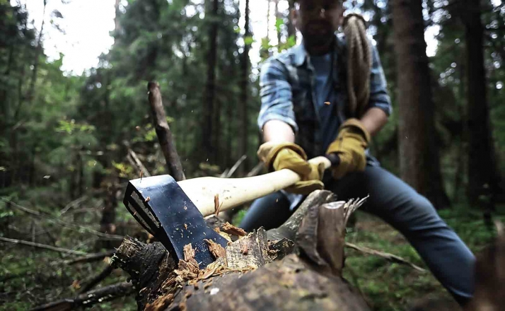 Los aprovechamientos de leña en Ólvega, hasta el 25
