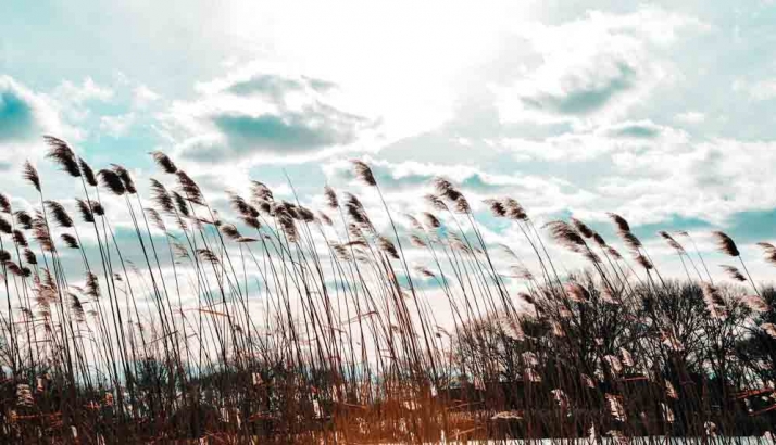 Aviso de fuertes vientos para mañana martes