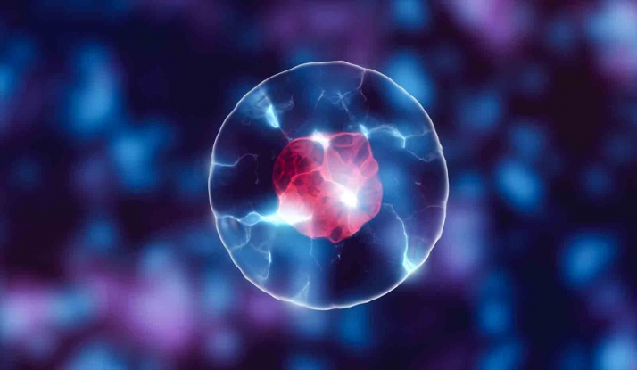 Nuevos datos sobre la comunicación celular, clave en la lucha contra el cáncer