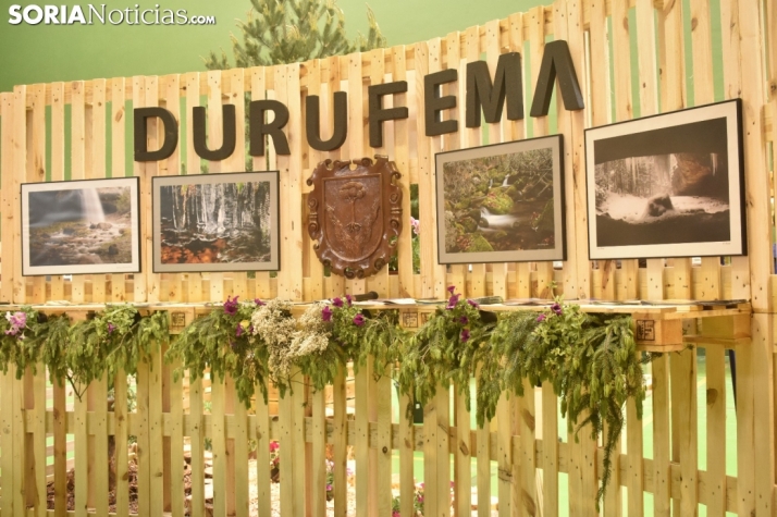 DURUFEMA vuelve pisando fuerte con sabor a setas