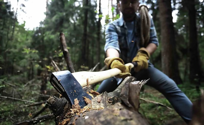Plazos y detalles para optar a los aprovechamientos de leña de roble de Valonsadero en Soria