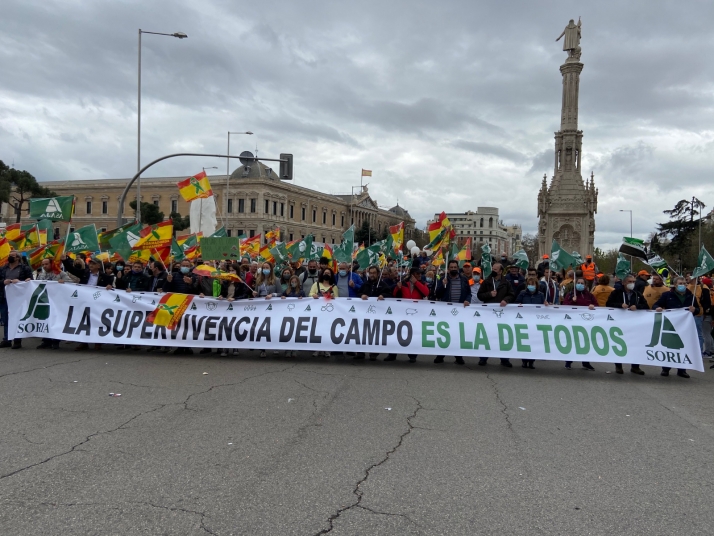 ASAJA Soria apoyará a la ganadería en la manifestación de Madrid 