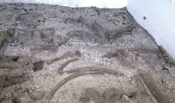 Los socialistas sorianos celebran la puesta en valor de Torralba y Ambrona