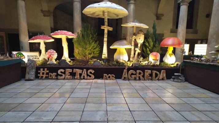 De setas por Ágreda, hasta el domingo