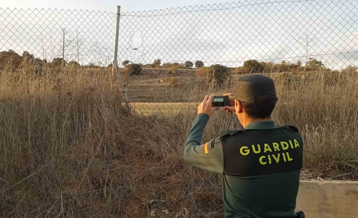 Detenido como presunto autor del robo de árboles