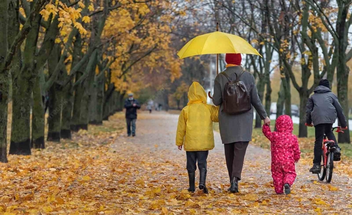 Mañueco anuncia un servicio de ayuda a domicilio específico para familias con dificultades para atender a sus hijos