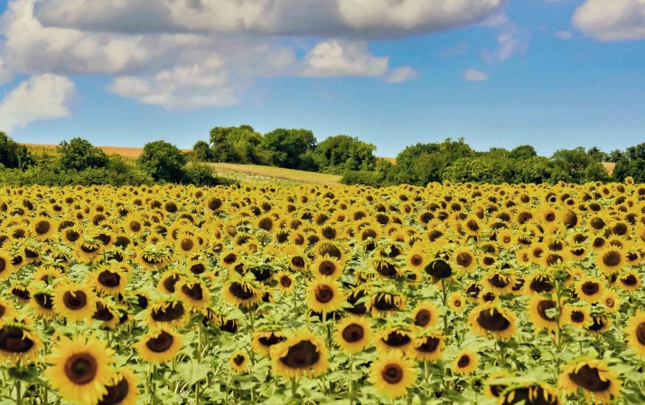 La Consejería de Agricultura expone ante las OPAs sus cuentas para 2023, con un crecimiento del 14,16% respecto al último presupuesto