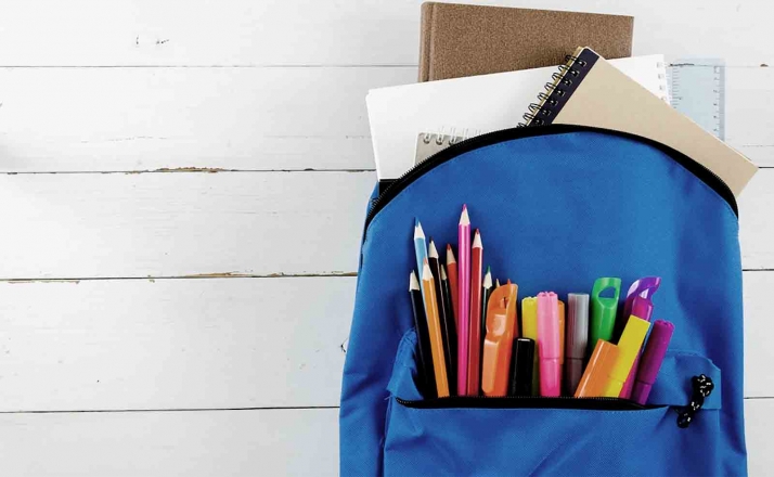 El Ayuntamiento de Soria comparte en el Consejo Escolar el proyecto ‘La Tribu’ así como las ayudas para AMPAS