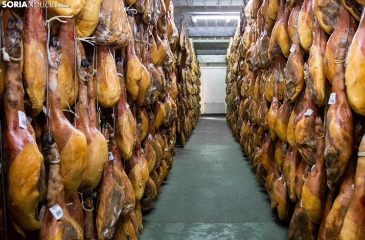 Demuestran que la calidad de la carne ibérica está relacionada con la microbiota del animal