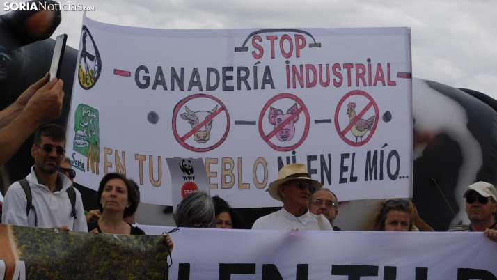 Estocada definitiva a la macrogranja de Noviercas con la nueva ordenanza bovina