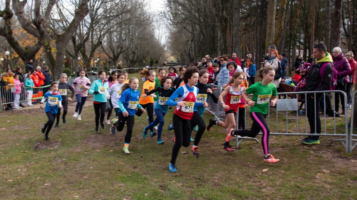 Imágenes: cientos de escolares en el cross Alameda de Cervantes