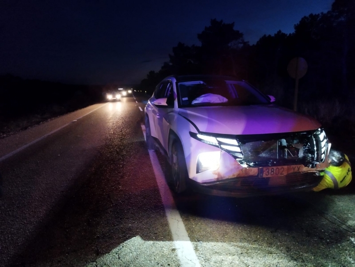 Atropello de jabalí entre Chavaler y el cruce de Espejo de Tera