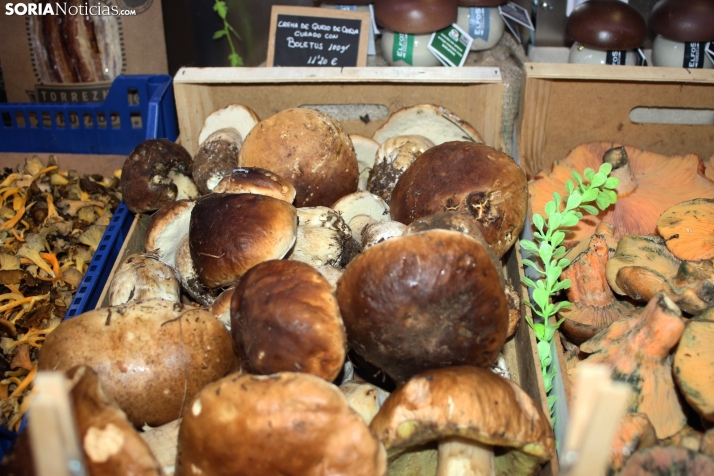 Así están los precios de las setas en Soria