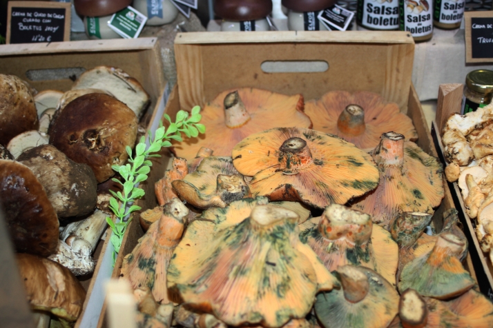 Recta final de la temporada de setas en Soria: precios, variedades y fechas