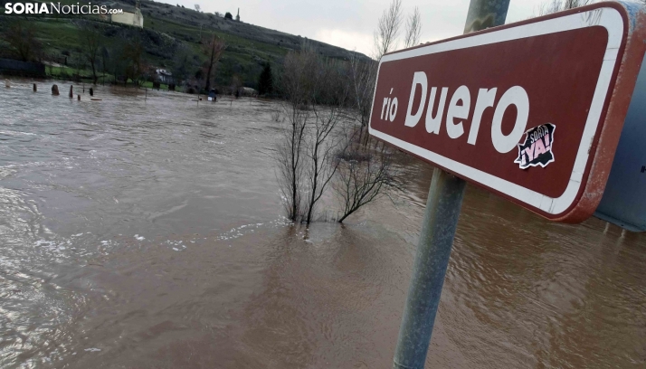 FOTOS | El Duero, muy abundante en Garray