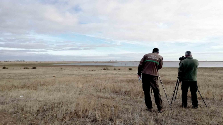 Castilla y León elabora un nuevo censo para conocer el estado de conservación de sus aves acuáticas invernantes
