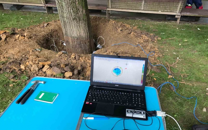 Expertos diagnostican este viernes el estado del arbolado del parque adnamatino de La Arboleda