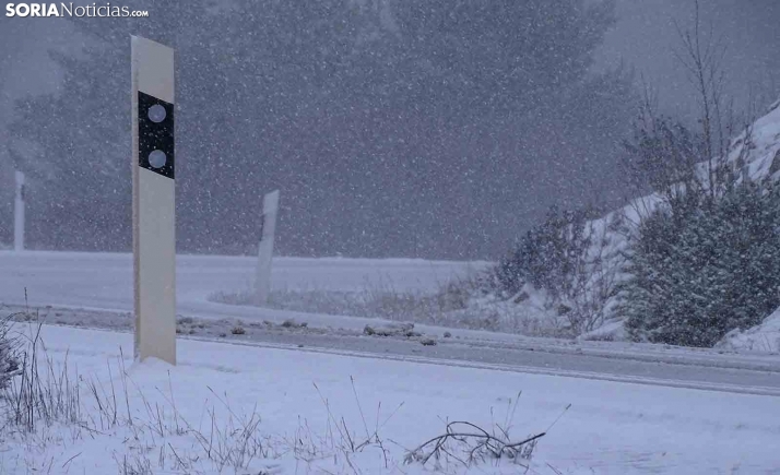 GALERÍA | La nieve, generosa en Pinares