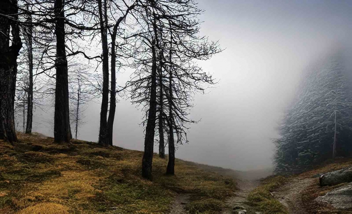 Nivel amarillo por nieblas en la noche de Reyes