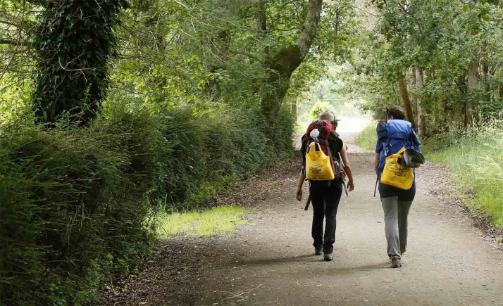 Los peregrinos del Camino de Santiago depositaron 49 toneladas de envases en las papeleras de los albergues de Castilla y León este verano