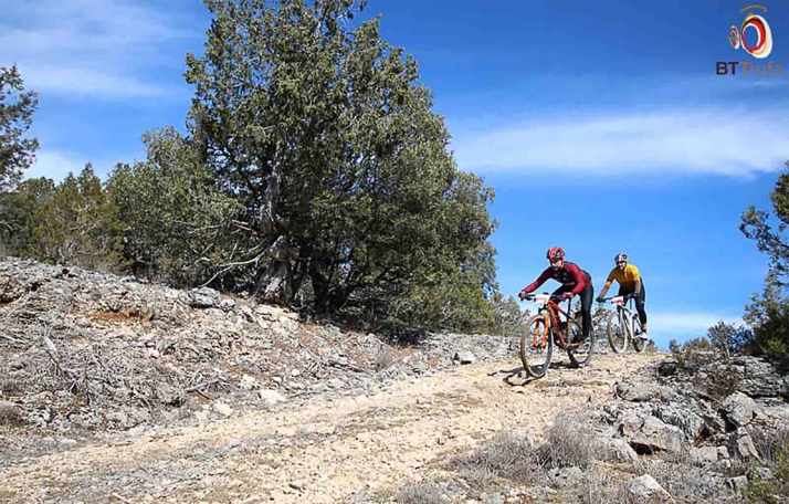 Abren las inscripciones para la II BTTrufa de Abejar 