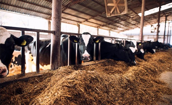 Valle de Odieta defenderá sus derechos respecto al proyecto en Noviercas