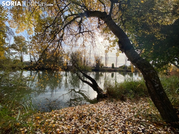 Unir pasado y futuro para trabajar en el desarrollo turístico de San Esteban de Gormaz