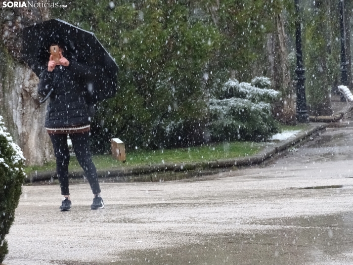 Regresa la nieve a Soria