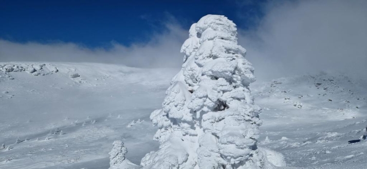 Agustín Sandoval nos enseña cómo de increíble está la nieve en los Picos de Urbión 