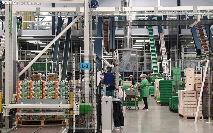 La Junta vendió 477.200 metros cuadrados de suelo industrial en Castilla y León durante 2022