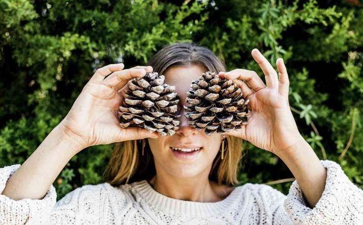 ¿Cuántos árboles hay en la Tierra?
