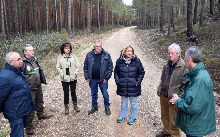 La Junta invirtió en 2022 casi 10,5 M€ en actuaciones silvícolas preventivas de incendios en montes de Utilidad Pública de Soria