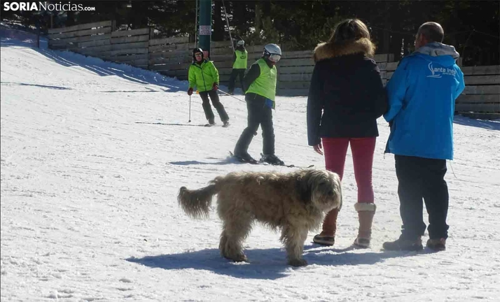 La ampliación de Santa Inés será llevada a la Comisión Territorial de Urbanismo en marzo