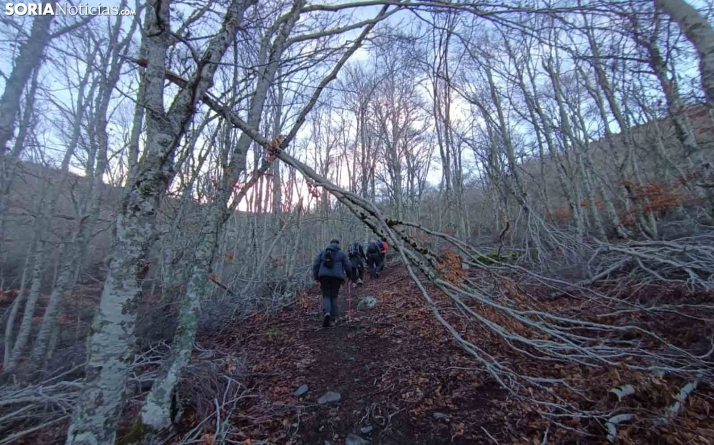 AMPLIACIÓN | Hallados los jóvenes extraviados en el Moncayo