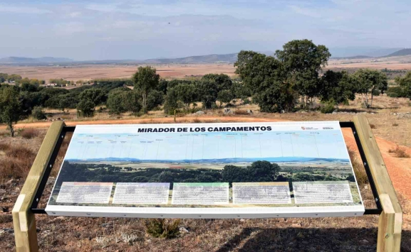 Detenida una banda de expoliadores de yacimientos arqueológicos en Renieblas