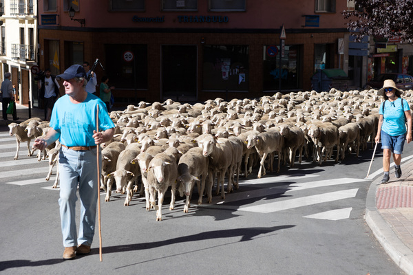 Tierras Altas solicita 6 millones de euros para eficiencia energética, mantener servicios e impulsar el turismo